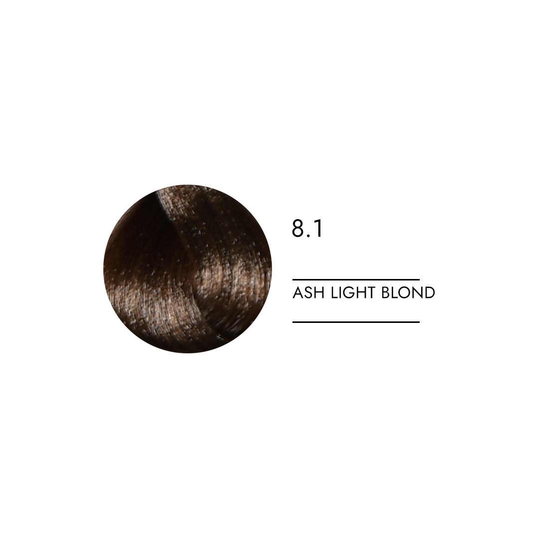 be.ONE 2.1 AMMONIA FREE HAIR DYE ASH 100 ml