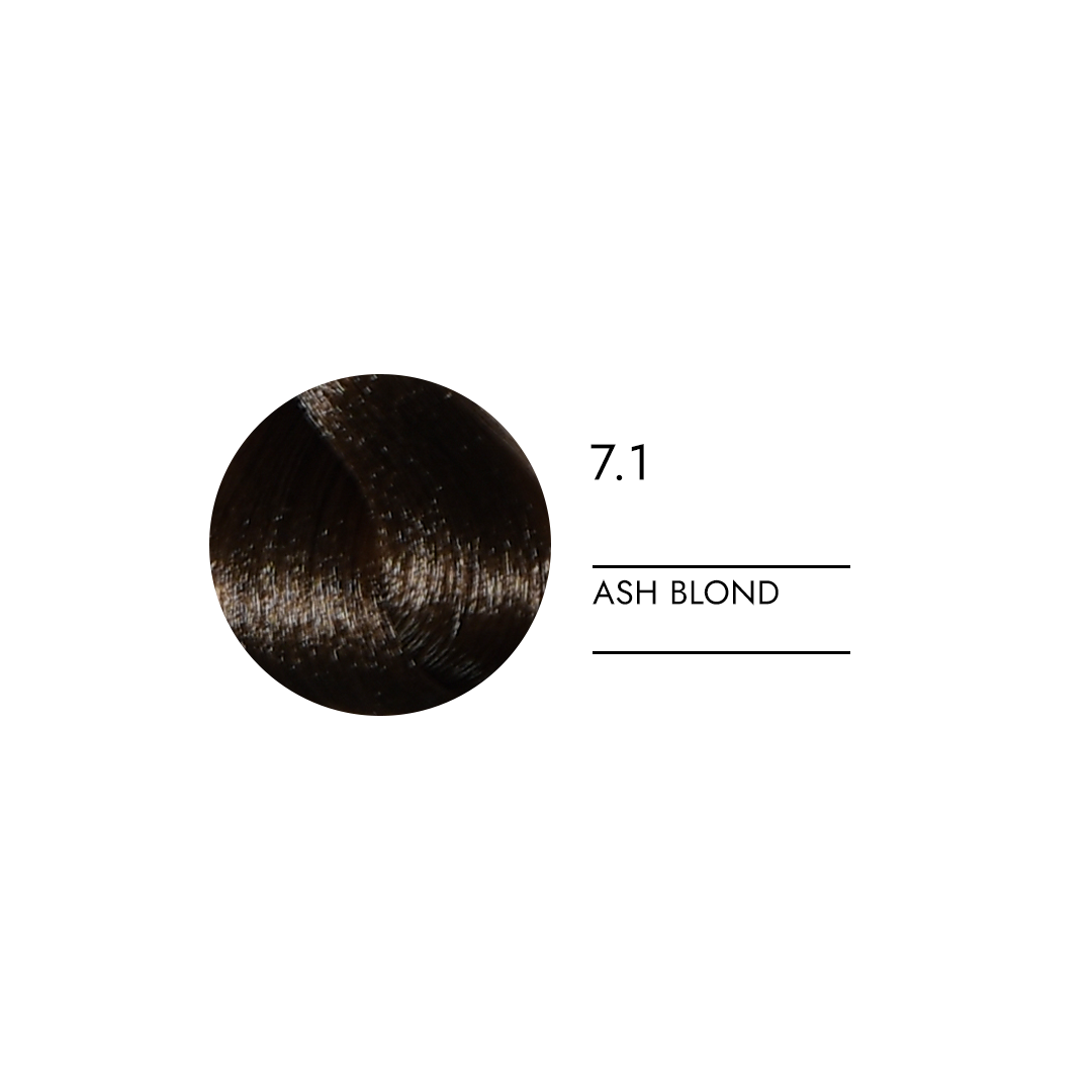 be.ONE 2.1 AMMONIA FREE HAIR DYE ASH 100 ml